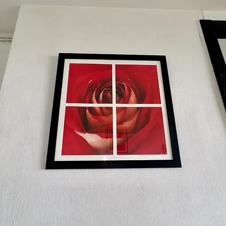 2 Pres Plage, Animaux Admis - Fr-1-323-309 아파트 생장드몽