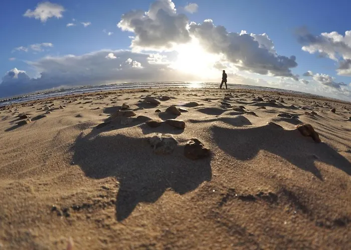 2 Pres Plage, Animaux Admis - Fr-1-323-309 *