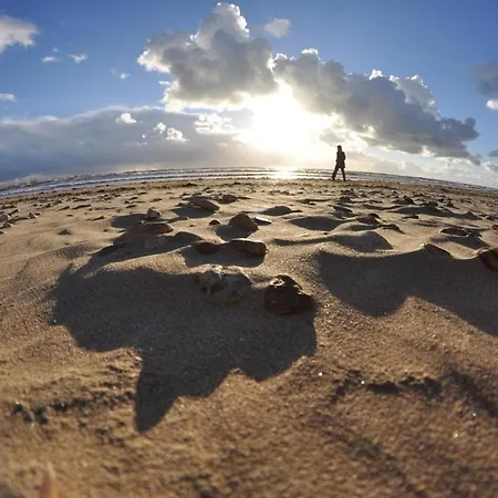 2 Pres Plage, Animaux Admis - Fr-1-323-309 *