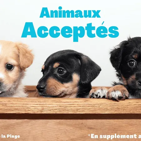 公寓 2 Pres Plage, Animaux Admis - Fr-1-323-309